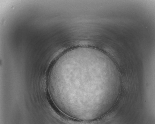 X0000060570016200511101641