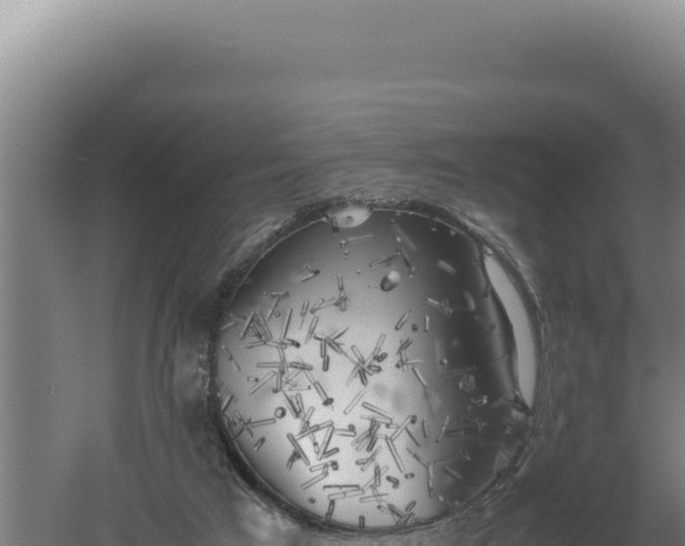 X0000060570017200511101641