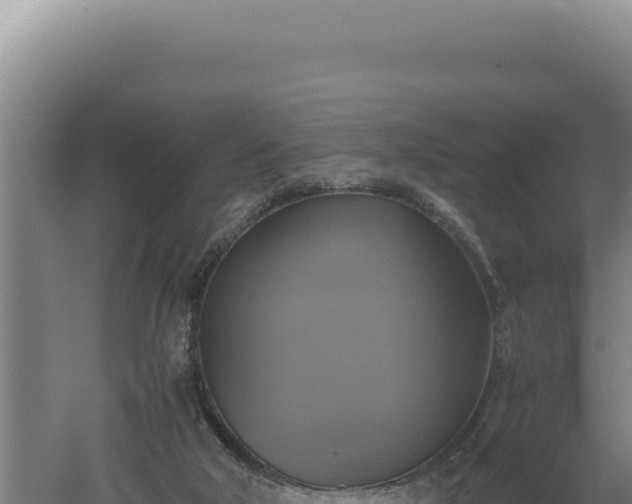 X0000060570018200511101641