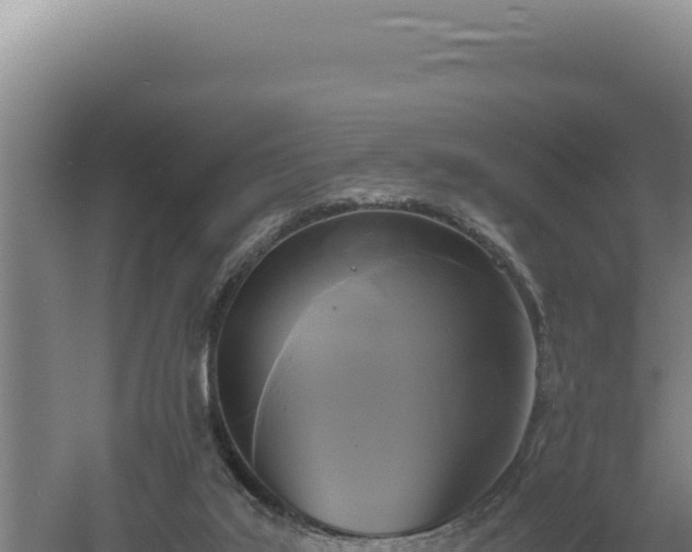 X0000060570019200511101641