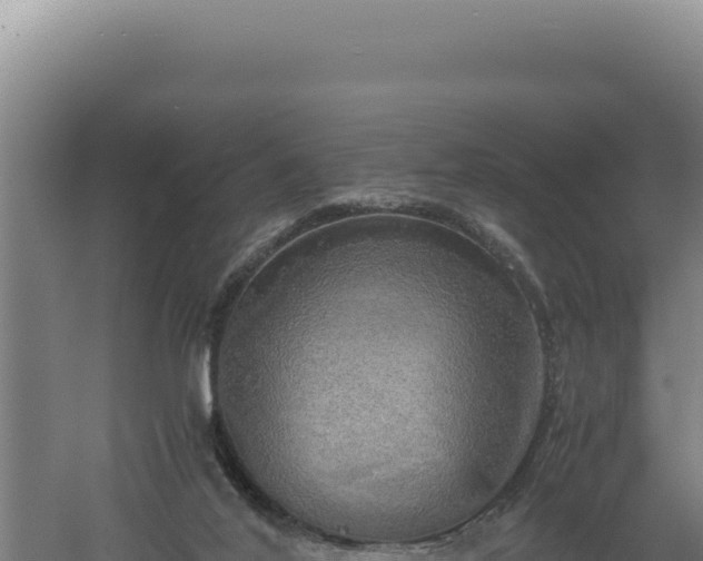 X0000060570020200511101641