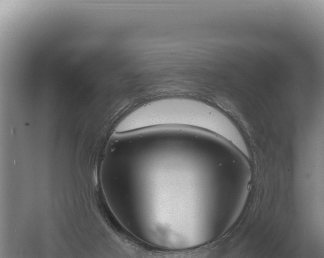 X0000060570021200511101641