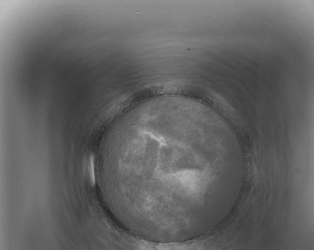 X0000060570022200511101641