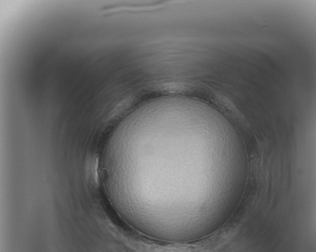 X0000060570024200511101641