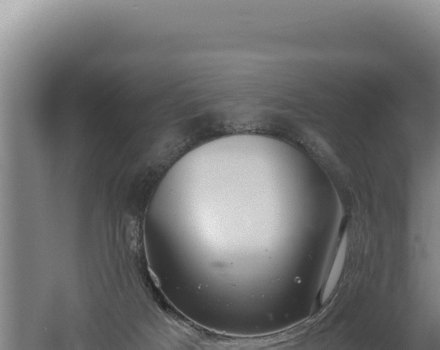 X0000060570025200511101641