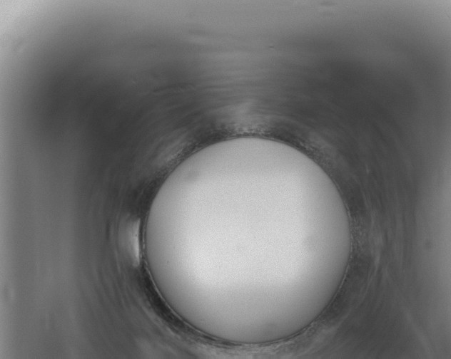 X0000060570028200511101641