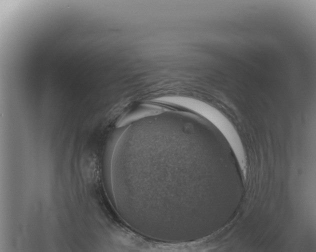 X0000060570029200511101641