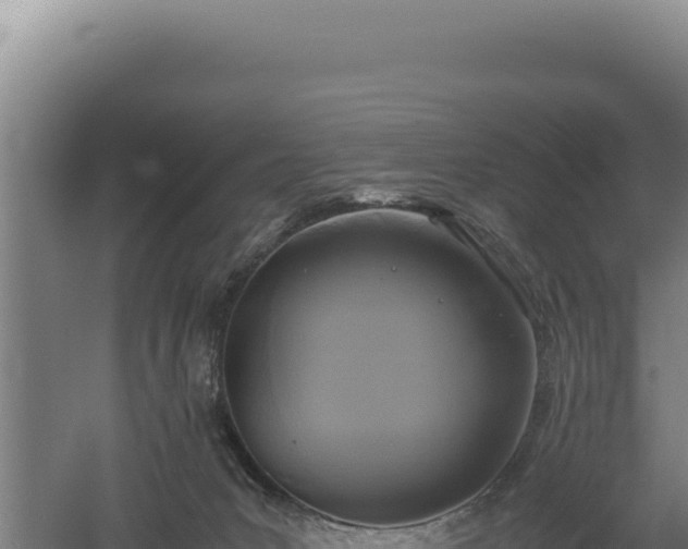 X0000060570031200511101641