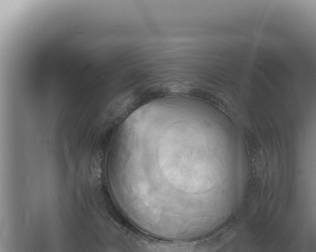 X0000060570032200511101641