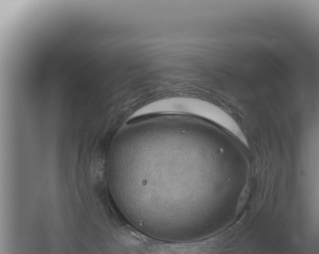 X0000060570033200511101641