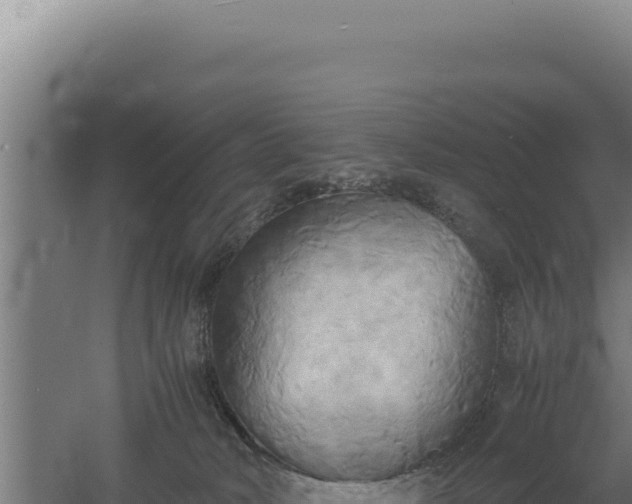 X0000060570034200511101641