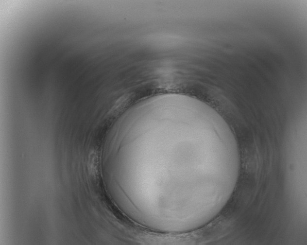 X0000060570036200511101641