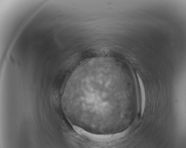 X0000060570037200511101641