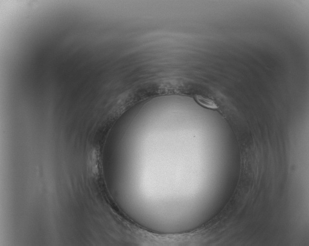 X0000060570038200511101641