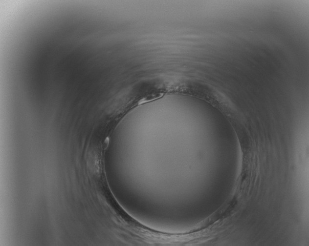 X0000060570039200511101641