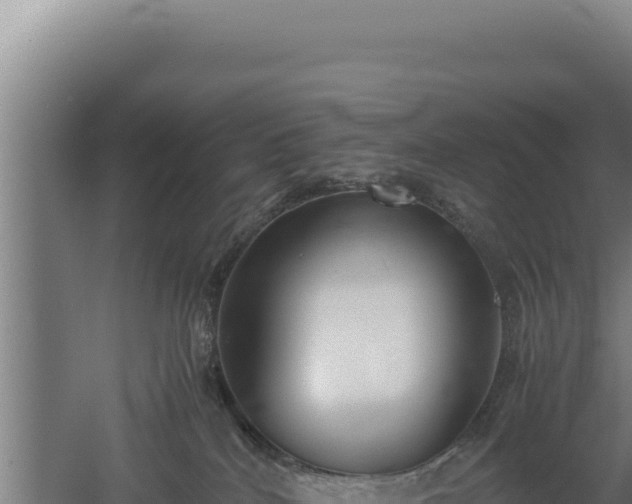 X0000060570040200511101641