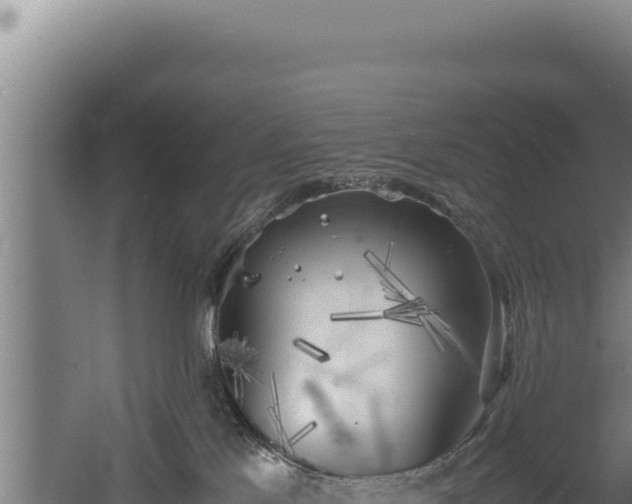 X0000060570041200511101641