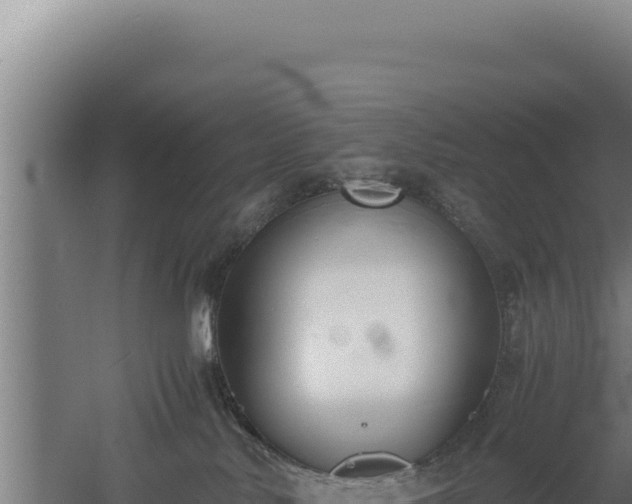 X0000060570042200511101641