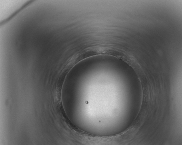 X0000060570044200511101641