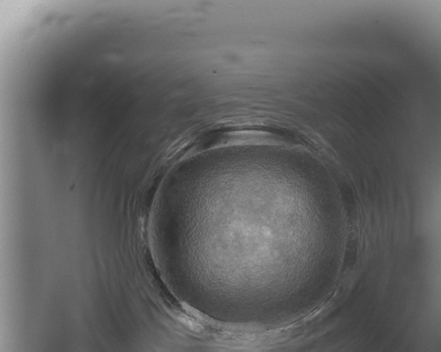 X0000060570045200511101641