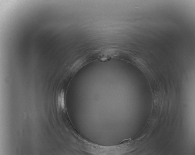 X0000060570046200511101641