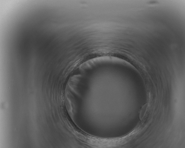 X0000060570048200511101641