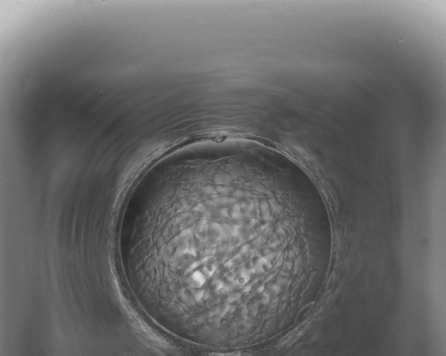 X0000060570049200511101640