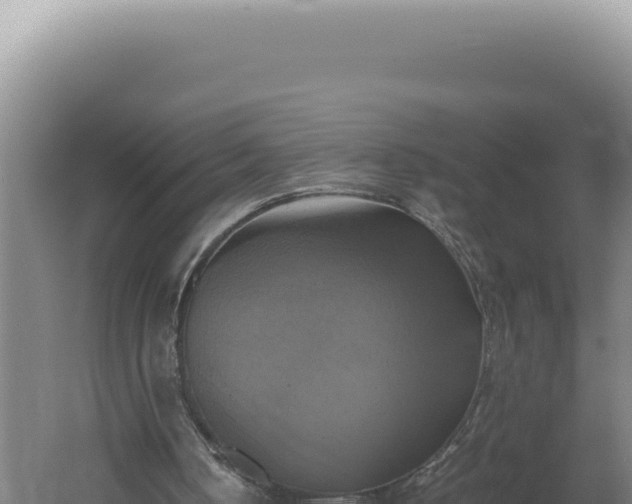 X0000060570050200511101640