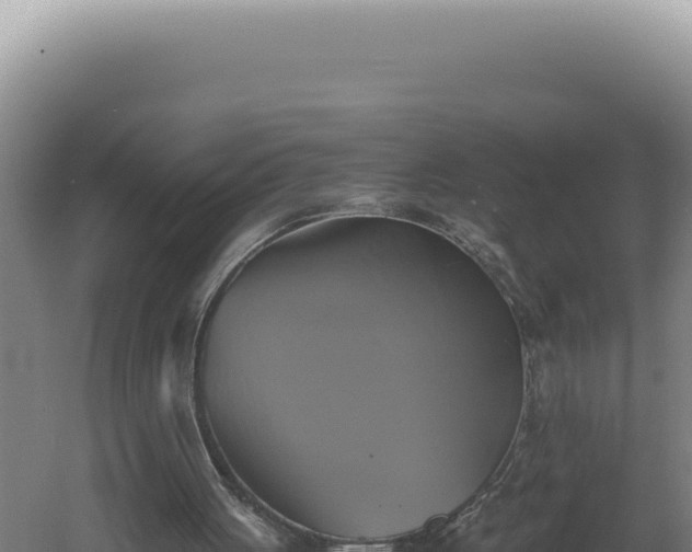 X0000060570051200511101640