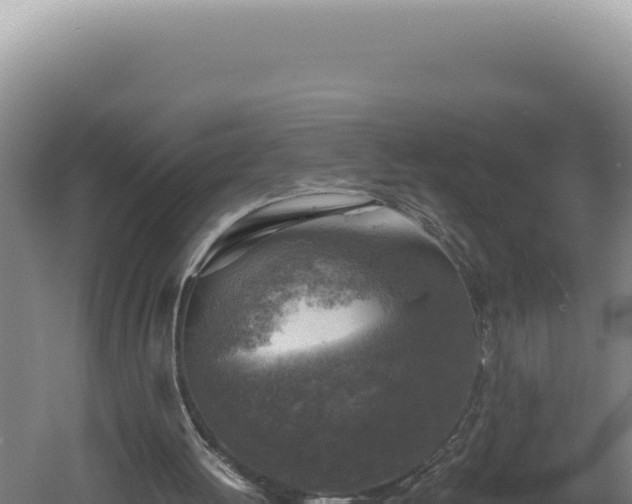 X0000060570052200511101640