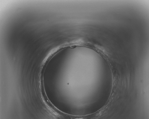 X0000060570054200511101640