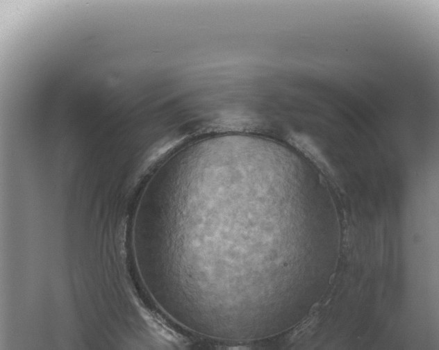 X0000060570058200511101640