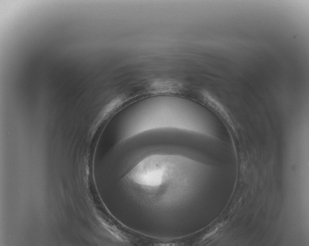 X0000060570059200511101640