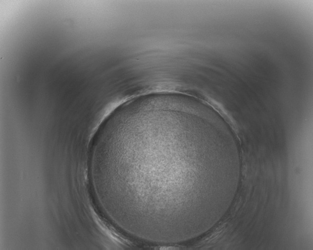 X0000060570060200511101640