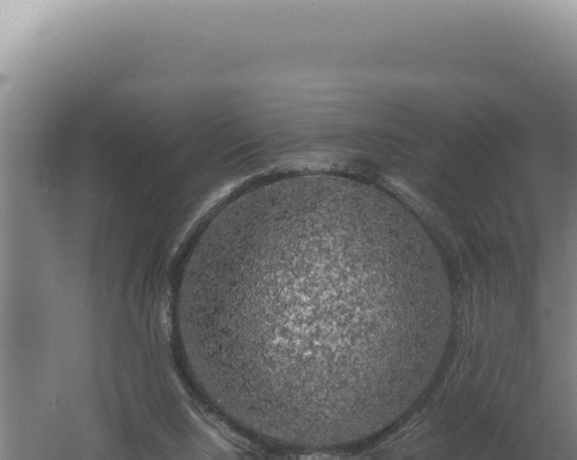 X0000060570064200511101640