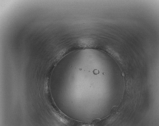 X0000060570065200511101640