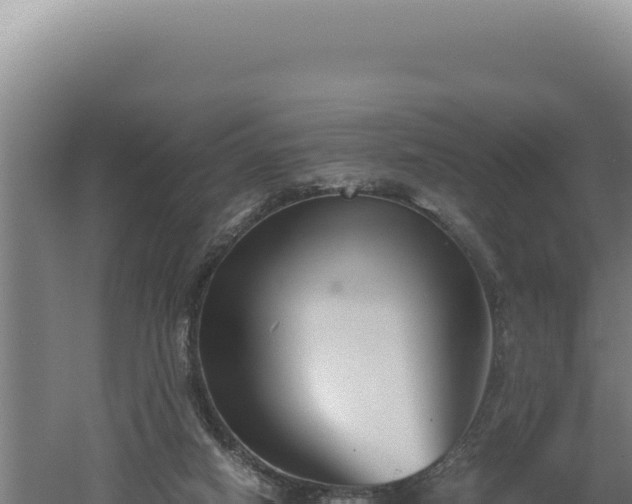 X0000060570066200511101640