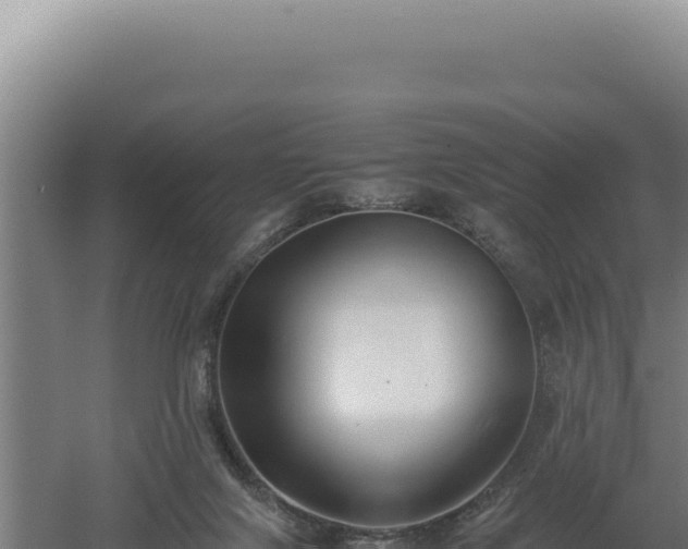 X0000060570071200511101640