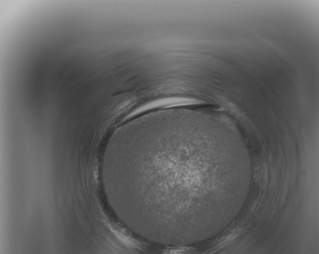 X0000060570072200511101640