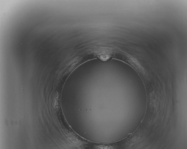 X0000060570073200511101641