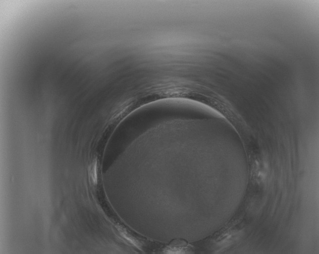 X0000060570076200511101641