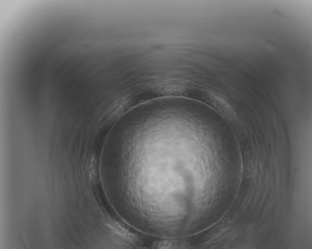 X0000060570077200511101641