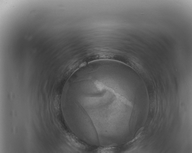 X0000060570078200511101641