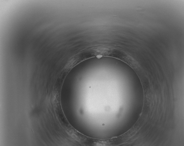 X0000060570079200511101641