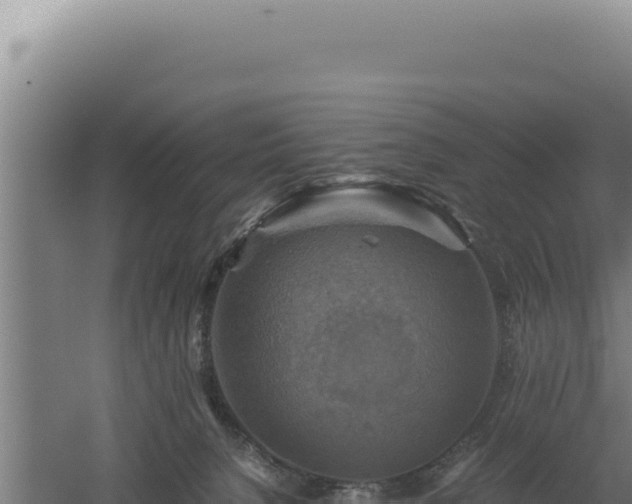 X0000060570080200511101641