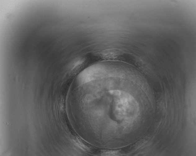 X0000060570081200511101641