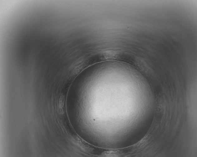 X0000060570082200511101641