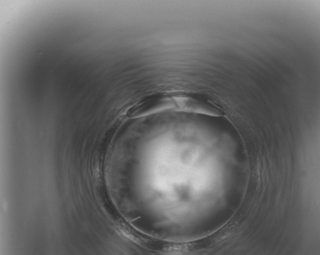 X0000060570084200511101641