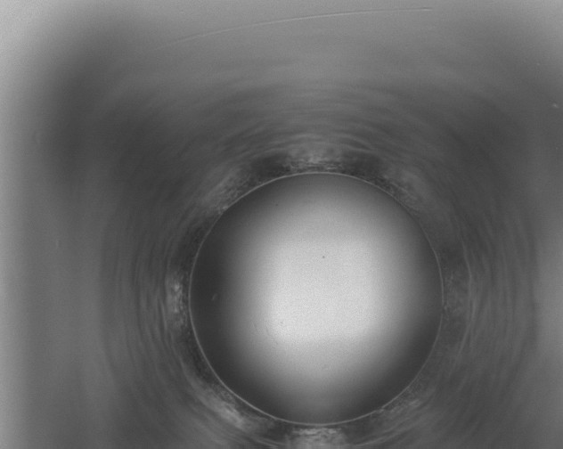 X0000060570087200511101641