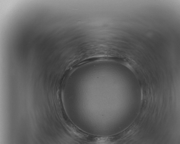 X0000060570088200511101641